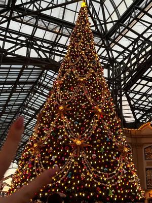 もえの写メ日記｜王室 吉原高級店ソープ