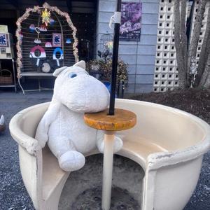 りかの写メ日記｜王室 吉原高級店ソープ