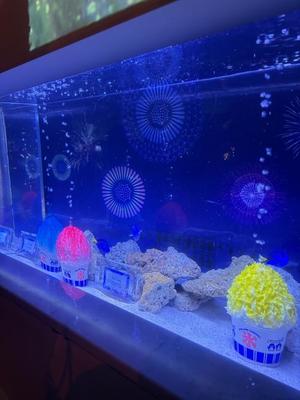りかの写メ日記｜王室 吉原高級店ソープ