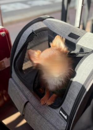 まりんの写メ日記｜王室 吉原高級店ソープ