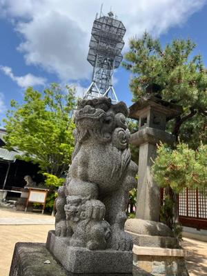 めいの写メ日記｜王室 吉原高級店ソープ