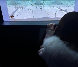 めいの写メ日記｜王室 吉原高級店ソープ