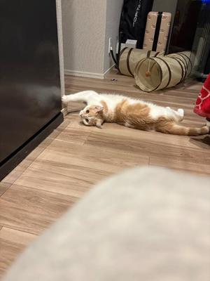 亜依の写メ日記｜王室 吉原高級店ソープ