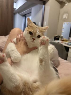 亜依の写メ日記｜王室 吉原高級店ソープ