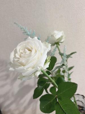 ナナの写メ日記｜王室 吉原高級店ソープ