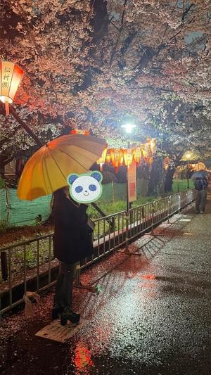 ゆいの写メ日記|王室 吉原高級店ソープ
