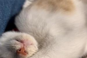 七瀬の写メ日記|王室 吉原高級店ソープ