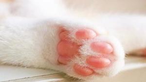 七瀬の写メ日記｜王室 吉原高級店ソープ