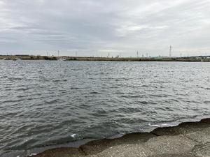 水樹の写メ日記｜パンドラ 吉原高級店ソープ