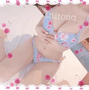 Shironaの写メ日記｜プレミアム 川崎高級店ソープ