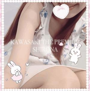 Shironaの写メ日記｜プレミアム 吉原高級店ソープ