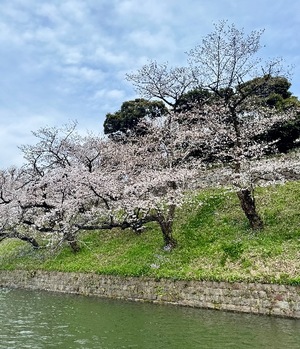 Hinataの写メ日記｜プレミアム 吉原高級店ソープ