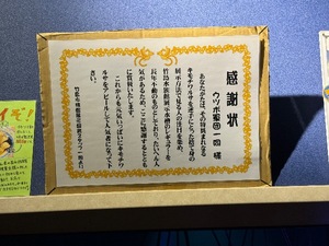 Haruの写メ日記｜プレミアム 吉原高級店ソープ