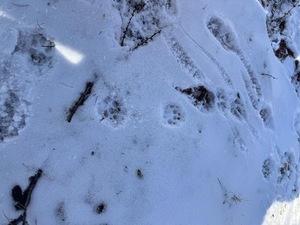 Mitsuの写メ日記｜プレミアム 吉原高級店ソープ