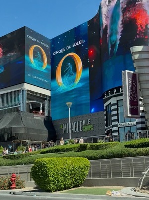 Kashuの写メ日記｜プレミアム 吉原高級店ソープ