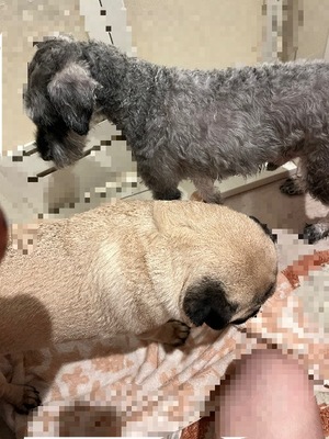 Kuraraの写メ日記｜プレミアム 吉原高級店ソープ