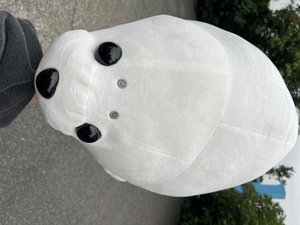 Kuraraの写メ日記｜プレミアム 川崎高級店ソープ