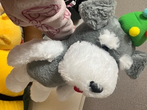 Kuraraの写メ日記｜プレミアム 川崎高級店ソープ