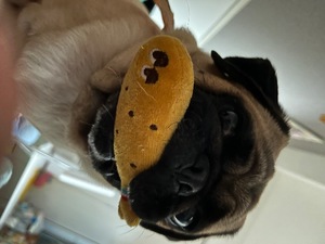 Kuraraの写メ日記｜プレミアム 吉原高級店ソープ