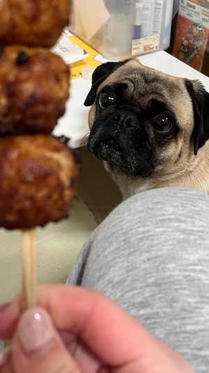 Kuraraの写メ日記｜プレミアム 川崎高級店ソープ