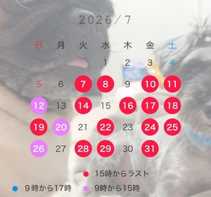 Kuraraの写メ日記｜プレミアム 川崎高級店ソープ
