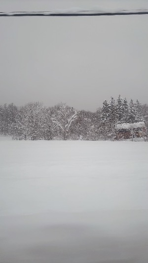 Irohaの写メ日記｜プレミアム 吉原高級店ソープ