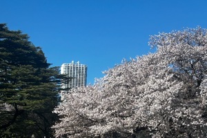 Eriの写メ日記｜プレミアム 吉原高級店ソープ