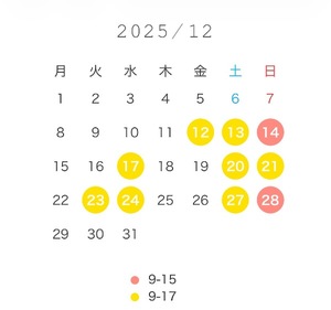 Wakabaの写メ日記｜プレミアム 川崎高級店ソープ