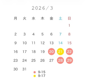 Wakabaの写メ日記｜プレミアム 吉原高級店ソープ