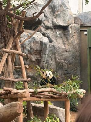 Annaの写メ日記｜プレミアム 川崎高級店ソープ