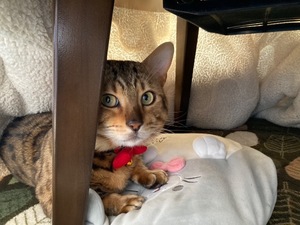 Ritoの写メ日記｜プレミアム 吉原高級店ソープ