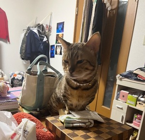 Ritoの写メ日記｜プレミアム 吉原高級店ソープ