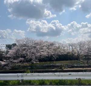Ritoの写メ日記｜プレミアム 吉原高級店ソープ