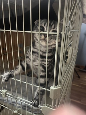 Ritoの写メ日記｜プレミアム 吉原高級店ソープ