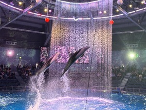 Ritoの写メ日記｜プレミアム 吉原高級店ソープ