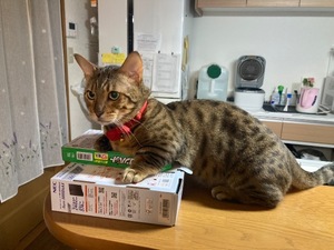 Ritoの写メ日記｜プレミアム 吉原高級店ソープ