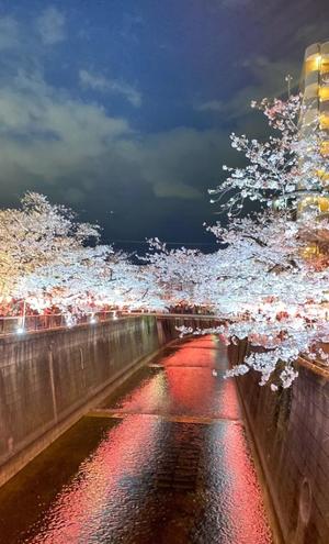 Ritsuの写メ日記｜プレミアム 川崎高級店ソープ