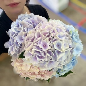 Rikkaの写メ日記｜プレミアム 吉原高級店ソープ