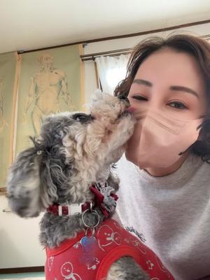 白鳥麗子の写メ日記｜プレジデントクラブ 吉原高級店ソープ