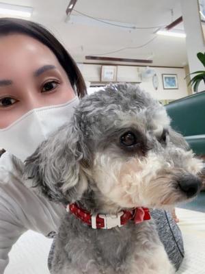 白鳥麗子の写メ日記｜プレジデントクラブ 吉原高級店ソープ
