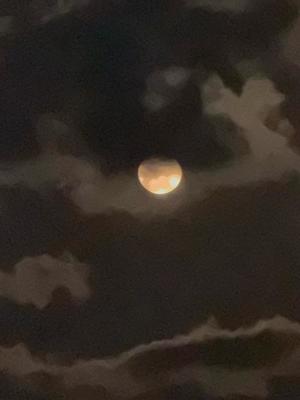 白藤の写メ日記｜プレジデントクラブ 吉原高級店ソープ