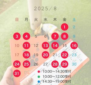 綾瀬はなの写メ日記｜プレジデントクラブ 吉原高級店ソープ