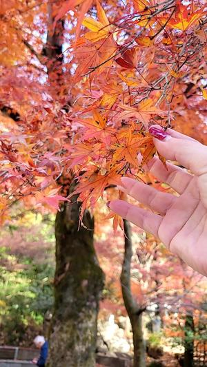 白雪由夏の写メ日記｜プレジデントクラブ 吉原高級店ソープ