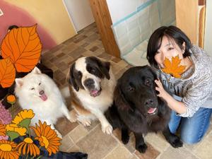 高杉しのぶの写メ日記｜プレジデントクラブ 吉原高級店ソープ