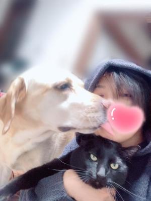 高杉しのぶの写メ日記｜プレジデントクラブ 吉原高級店ソープ