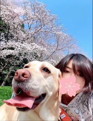 高杉しのぶの写メ日記｜プレジデントクラブ 吉原高級店ソープ