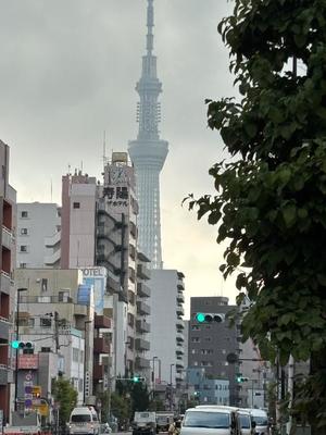 神宮寺紗耶の写メ日記｜プレジデントクラブ 吉原高級店ソープ