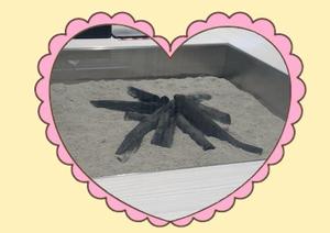 宮原紗世の写メ日記｜プレジデントクラブ 吉原高級店ソープ