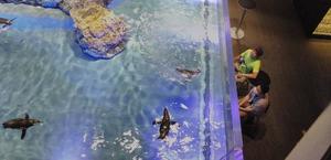 二宮瑠香の写メ日記｜プレジデントクラブ 吉原高級店ソープ