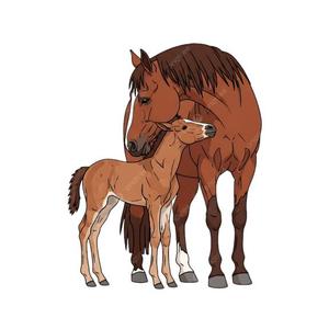 富永 玲の写メ日記｜プレジデントクラブ 吉原高級店ソープ